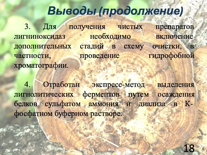 3. Для получения чистых препаратов лигниноксидаз необходимо включение дополнительных стадий