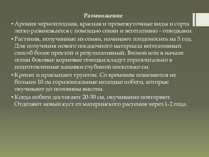 Размножение Арония черноплодная, красная и промежуточные виды и сорта легко