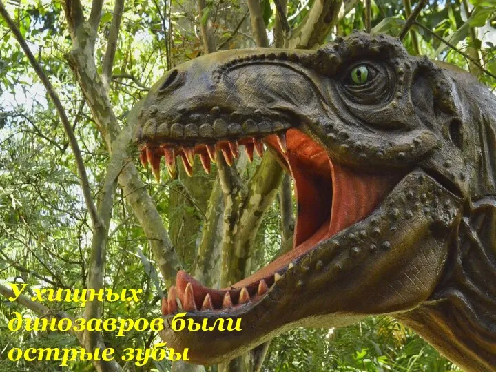 У хищных динозавров были острые зубы