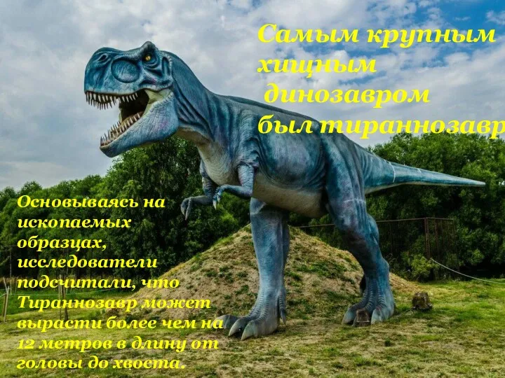 Основываясь на ископаемых образцах, исследователи подсчитали, что Тираннозавр может вырасти