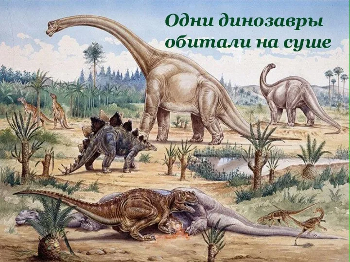 Одни динозавры обитали на суше