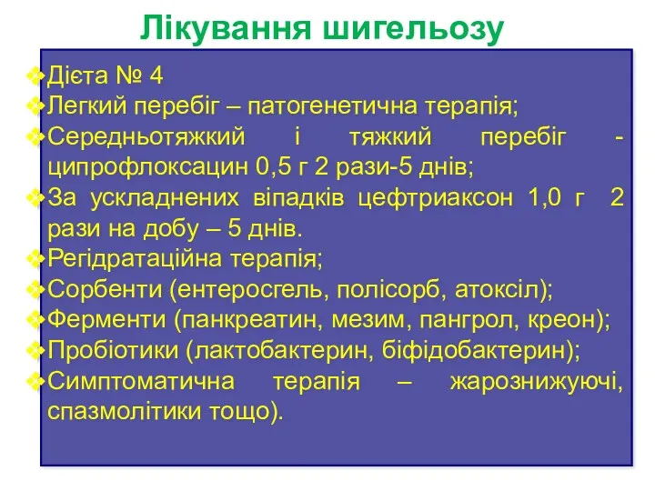 Лікування шигельозу Дієта № 4 Легкий перебіг – патогенетична терапія;