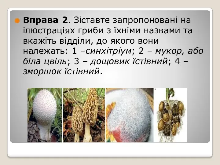Вправа 2. Зіставте запропоновані на ілюстраціях гриби з їхніми назвами та вкажіть відділи,