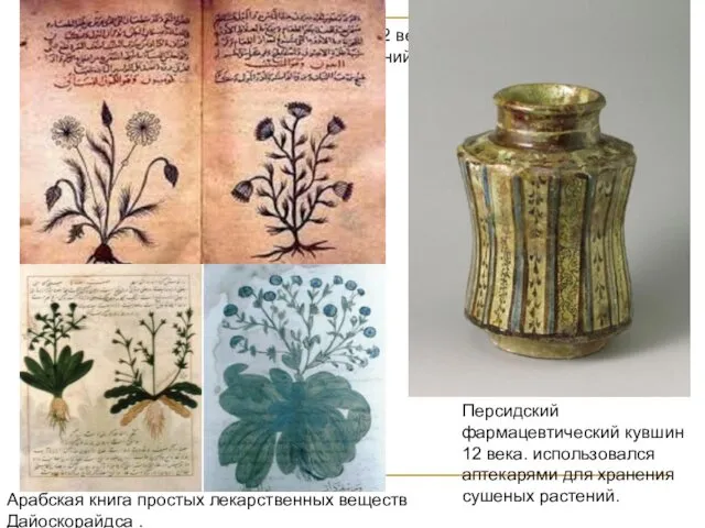 Персидский фармацевтический кувшин 12 века. использовался аптекарями для хранения сушеных растений. Персидский фармацевтический