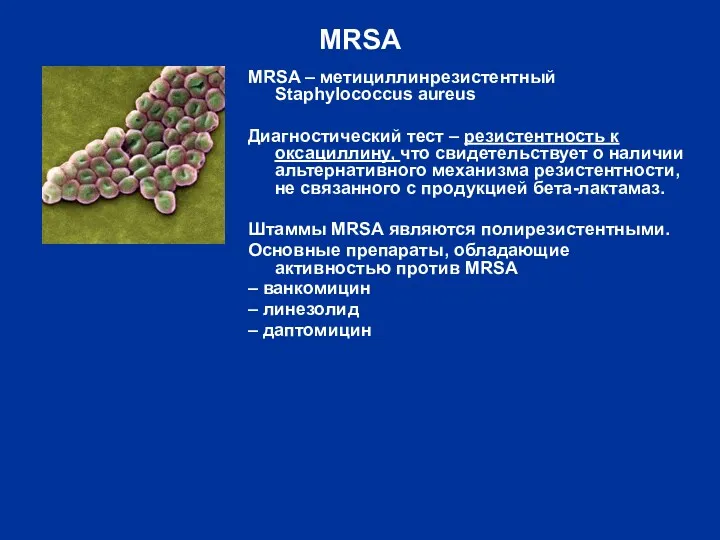 MRSA MRSA – метициллинрезистентный Staphylococcus аureus Диагностический тест – резистентность к оксациллину, что