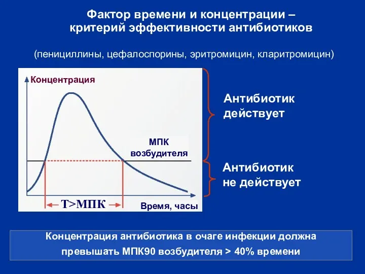 Фактор времени и концентрации – критерий эффективности антибиотиков Концентрация антибиотика в очаге инфекции