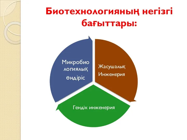 Микробиологиялық өндіріс Биотехнологияның негізгі бағыттары: