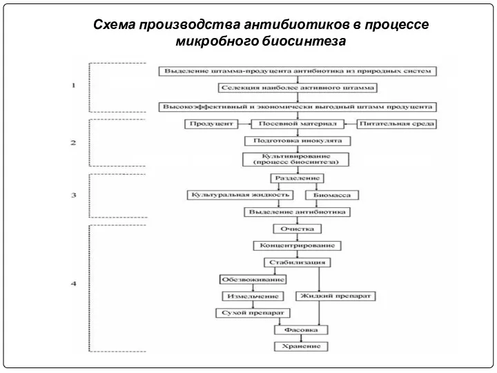 Схема производства антибиотиков в процессе микробного биосинтеза