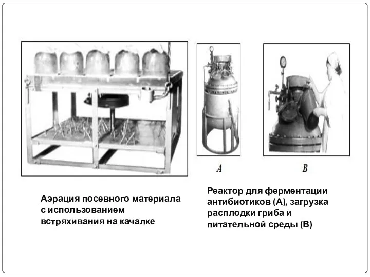 Аэрация посевного материала с использованием встряхивания на качалке Реактор для ферментации антибиотиков (А),