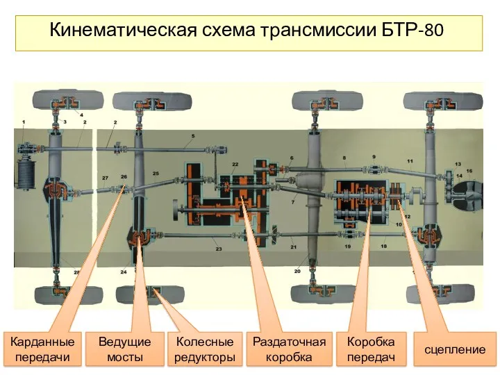 сцепление Коробка передач Раздаточная коробка Ведущие мосты Карданные передачи Колесные редукторы Кинематическая схема трансмиссии БТР-80.