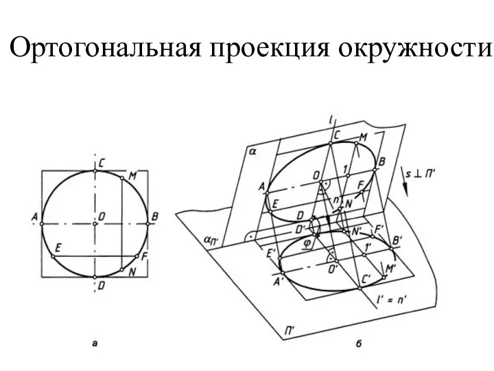Ортогональная проекция окружности