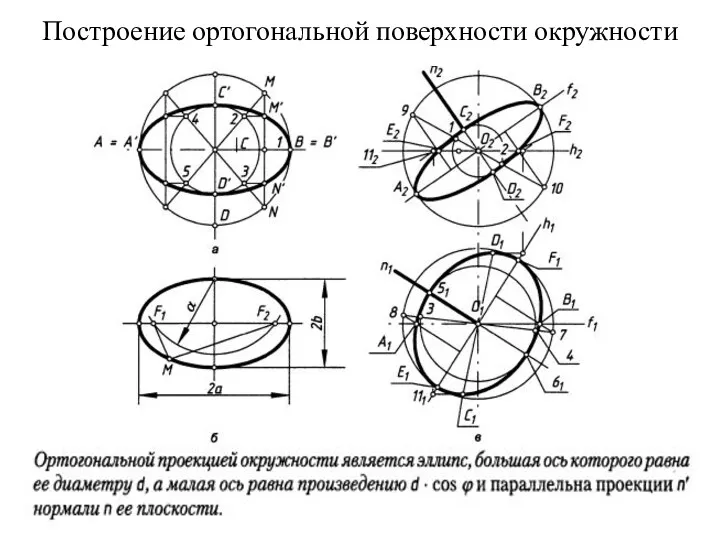 Построение ортогональной поверхности окружности