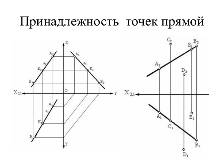 Принадлежность точек прямой