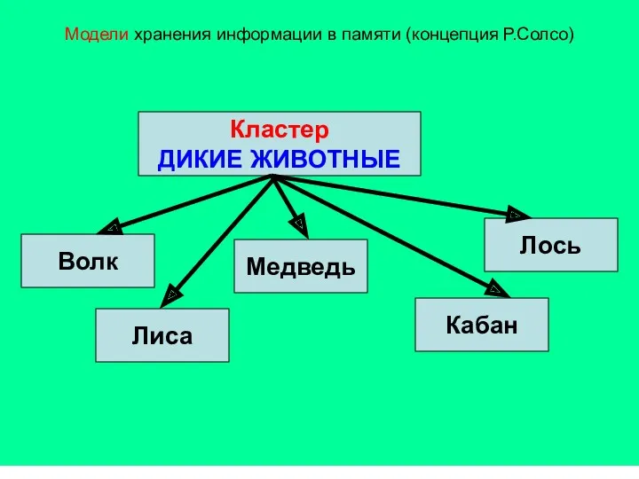 Модели хранения информации в памяти (концепция Р.Солсо) Кластер ДИКИЕ ЖИВОТНЫЕ Волк Медведь Лось Кабан Лиса