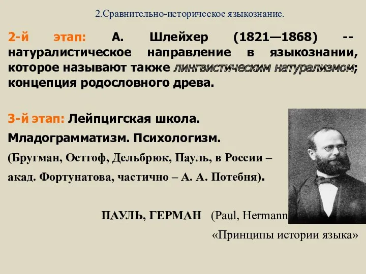 2.Сравнительно-историческое языкознание. 2-й этап: А. Шлейхер (1821—1868) -- натуралистическое направление