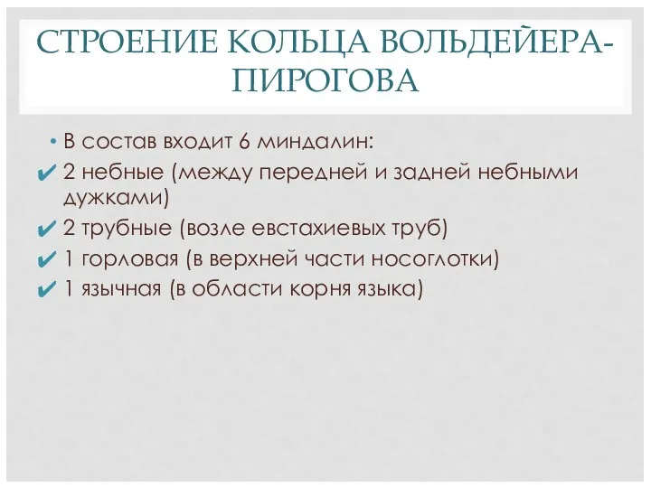 СТРОЕНИЕ КОЛЬЦА ВОЛЬДЕЙЕРА-ПИРОГОВА В состав входит 6 миндалин: 2 небные