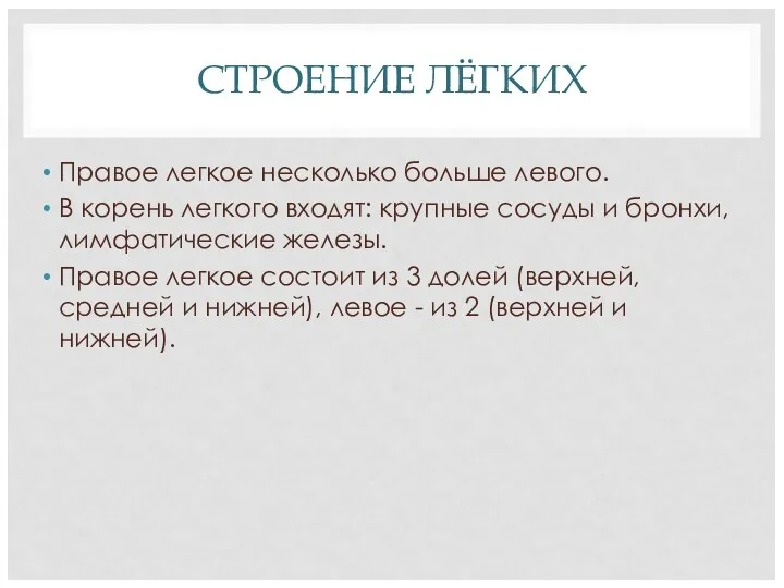 СТРОЕНИЕ ЛЁГКИХ Правое легкое несколько больше левого. В корень легкого