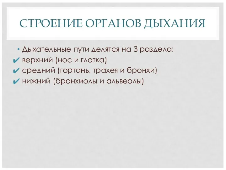 СТРОЕНИЕ ОРГАНОВ ДЫХАНИЯ Дыхательные пути делятся на 3 раздела: верхний