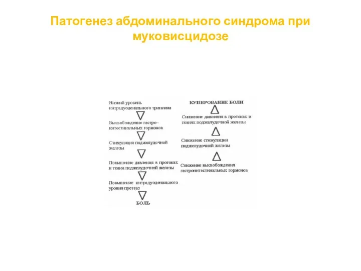 Патогенез абдоминального синдрома при муковисцидозе