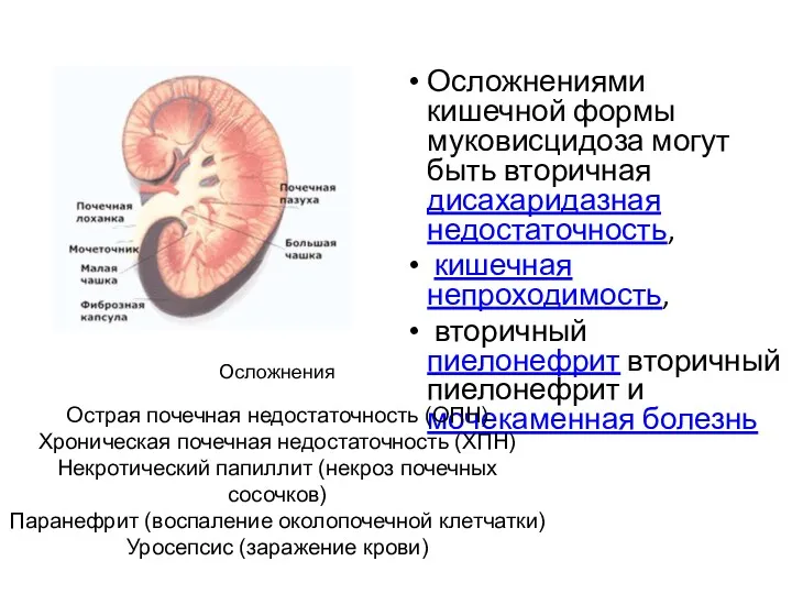 Осложнениями кишечной формы муковисцидоза могут быть вторичная дисахаридазная недостаточность, кишечная