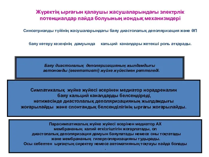 Жүректің ырғағын қалаушы жасушаларындағы электрлік потенциалдар пайда болуының иондық механизмдері