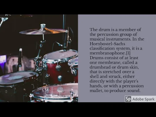 The drum is a member of the percussion group of