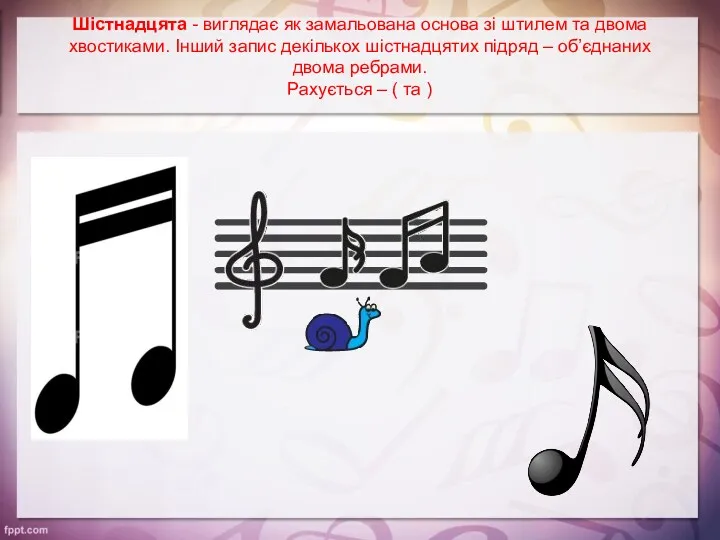 Шістнадцята - виглядає як замальована основа зі штилем та двома хвостиками. Інший запис