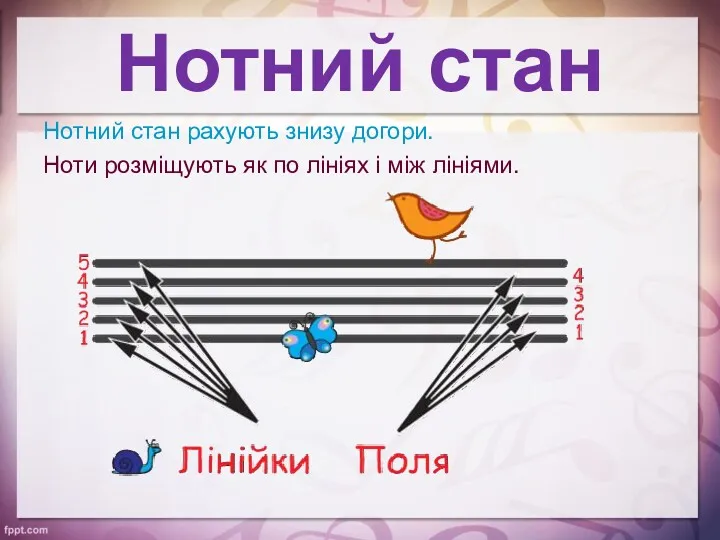 Нотний стан Нотний стан рахують знизу догори. Ноти розміщують як по лініях і між лініями.