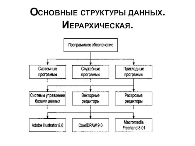 Основные структуры данных. Иерархическая.