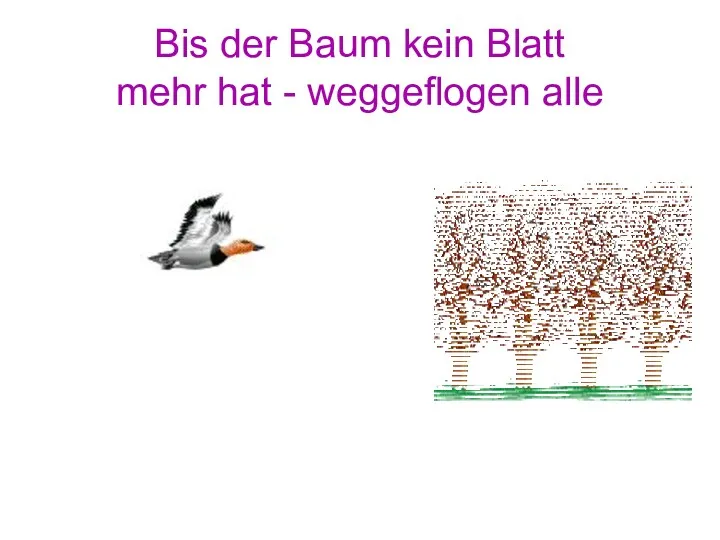 Bis der Baum kein Blatt mehr hat - weggeflogen alle