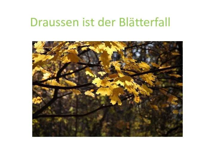 Draussen ist der Blätterfall