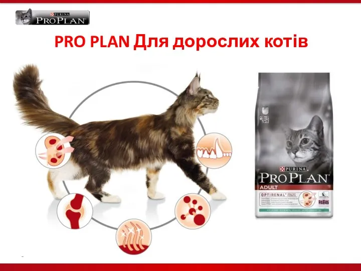 PRO PLAN Для дорослих котів