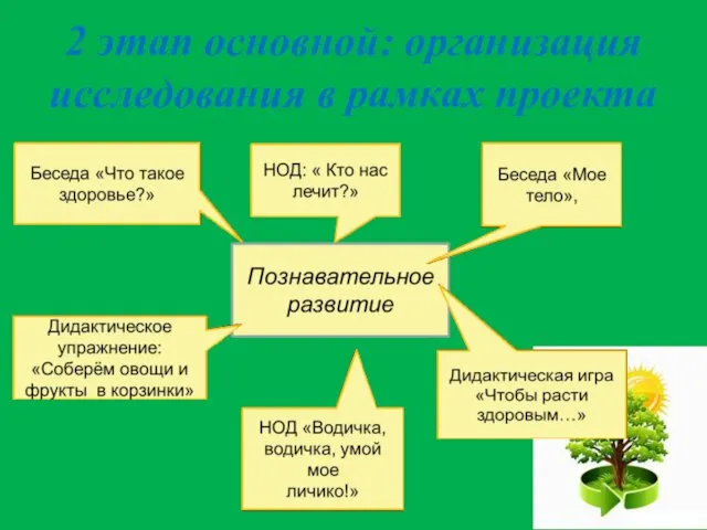 2 этап основной: организация исследования в рамках проекта