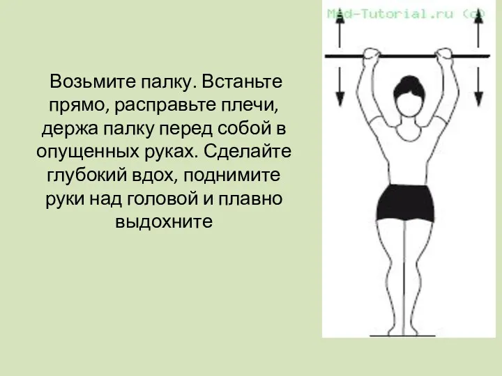 Возьмите палку. Встаньте прямо, расправьте плечи, держа палку перед собой