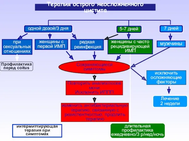 Терапия острого неосложненного цистита одной дозой/3 дня 5-7 дней 7