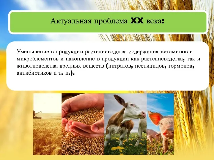 Актуальная проблема XX века: Уменьшение в продукции растениеводства содержания витаминов