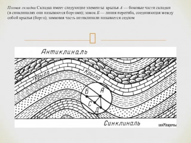 Полная складка Складка имеет следующие элементы: крылья А — боковые