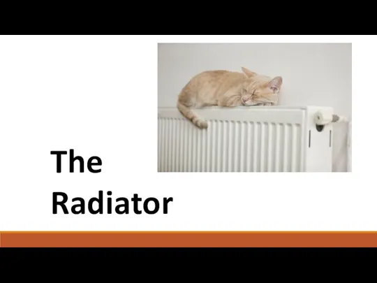 The Radiator