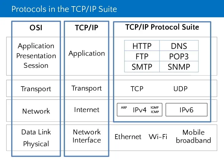 Protocols in the TCP/IP Suite