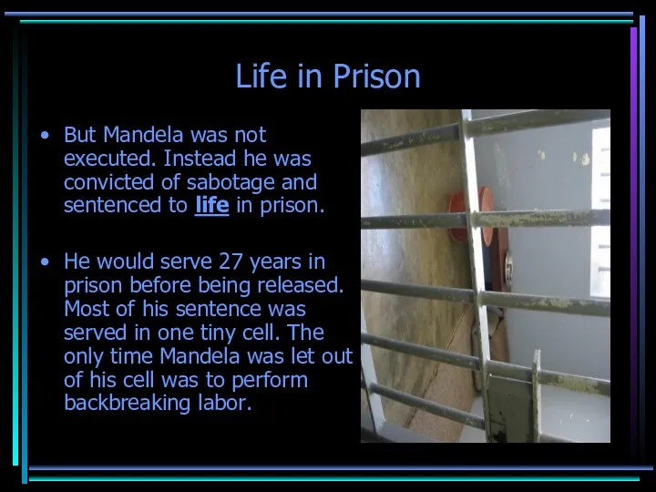 Life in Prison But Mandela was not executed. Instead he
