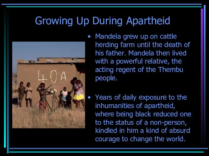 Growing Up During Apartheid Mandela grew up on cattle herding