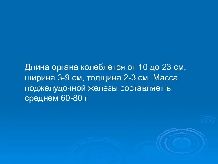 Длина органа колеблется от 10 до 23 см, ширина 3-9