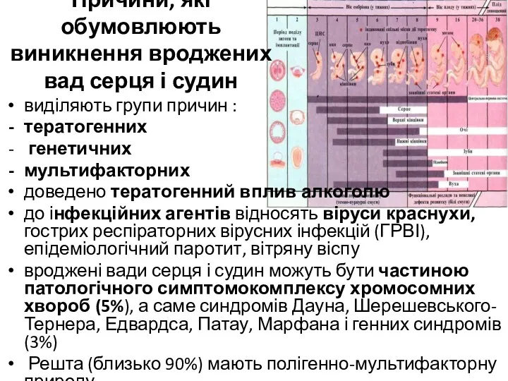 Причини, які обумовлюють виникнення вроджених вад серця і судин виділяють