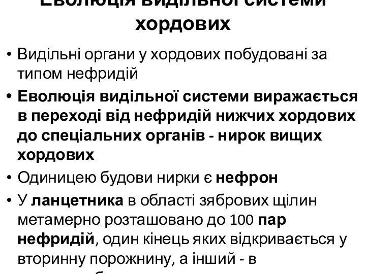 Еволюція видільної системи хордових Видільні органи у хордових побудовані за