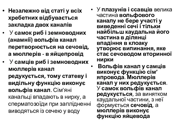 У плазунів і ссавців велика частина вольфового каналу не бере