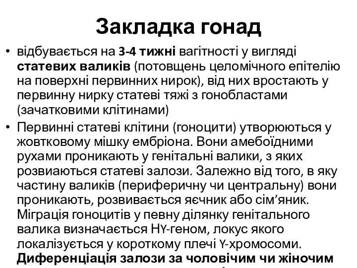 Закладка гонад відбувається на 3-4 тижні вагітності у вигляді статевих