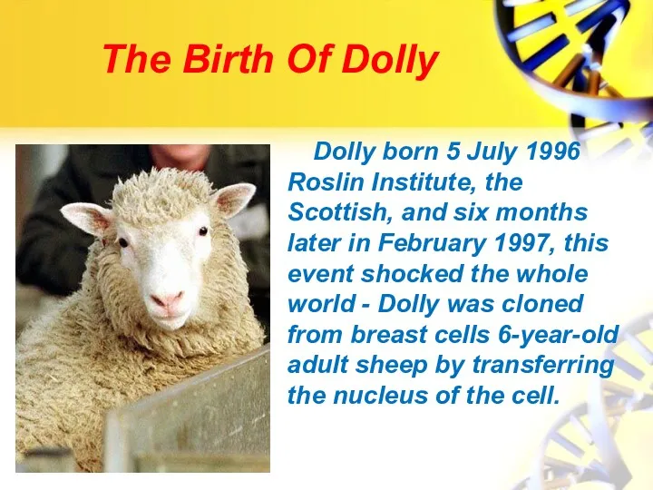 The Birth Of Dolly Dolly born 5 July 1996 Roslin Institute, the Scottish,
