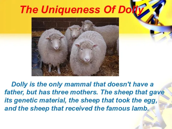 The Uniqueness Of Dolly Dolly is the only mammal that