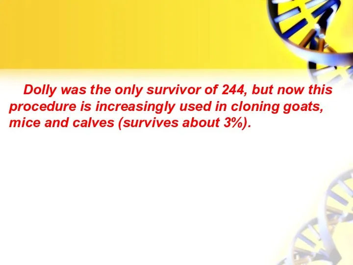 Dolly was the only survivor of 244, but now this