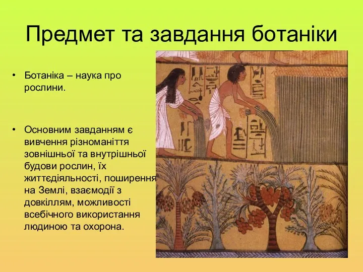Предмет та завдання ботаніки Ботаніка – наука про рослини. Основним